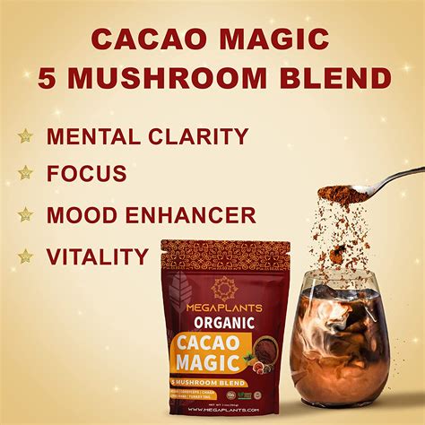 Cacao Magic and the Pursuit of Balance: A Philosophical Perspective